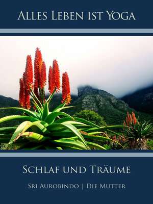 cover image of Schlaf und Träume